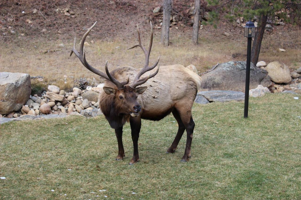 4 Seasons Inn On Fall River Estes Park Eksteriør billede